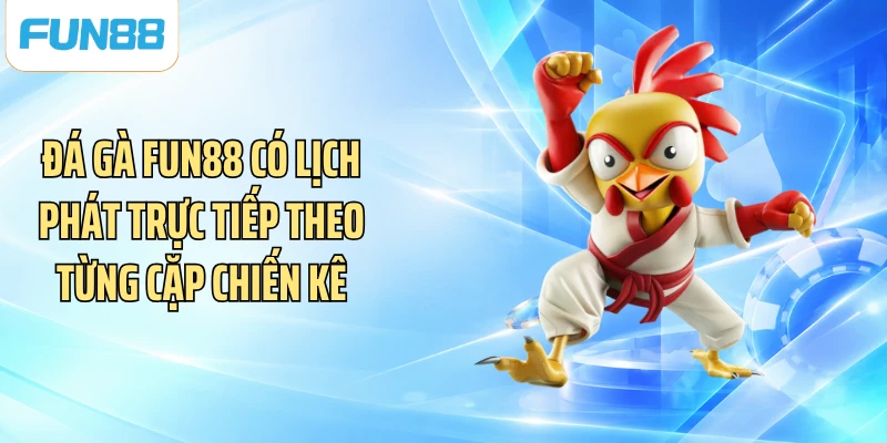 Đá gà FUN88 có lịch phát trực tiếp theo từng cặp chiến kê